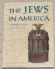 42238 The Jews In America: A Treasury Of Art and Literature 10x13